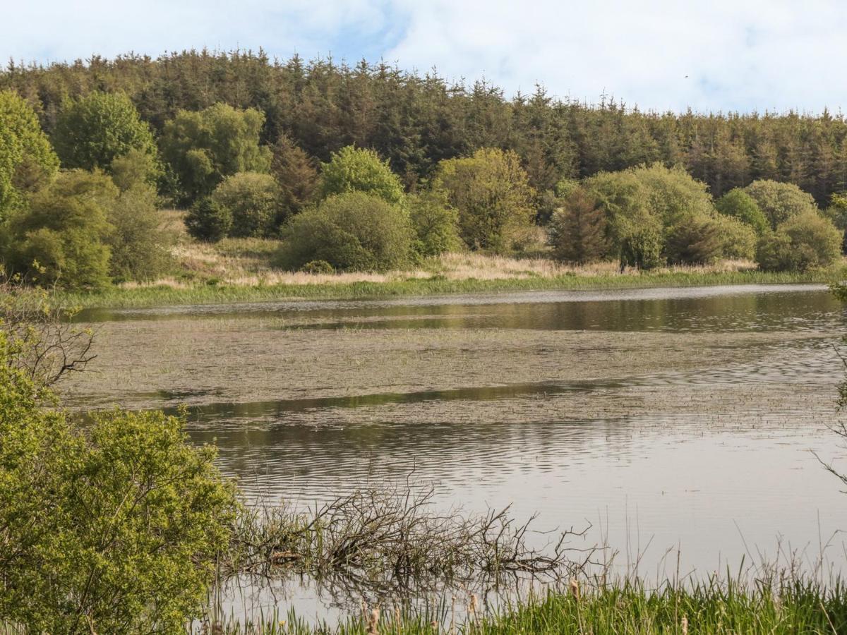 Вилла Bwlch Y Gwynt Bach Ллангефни Экстерьер фото