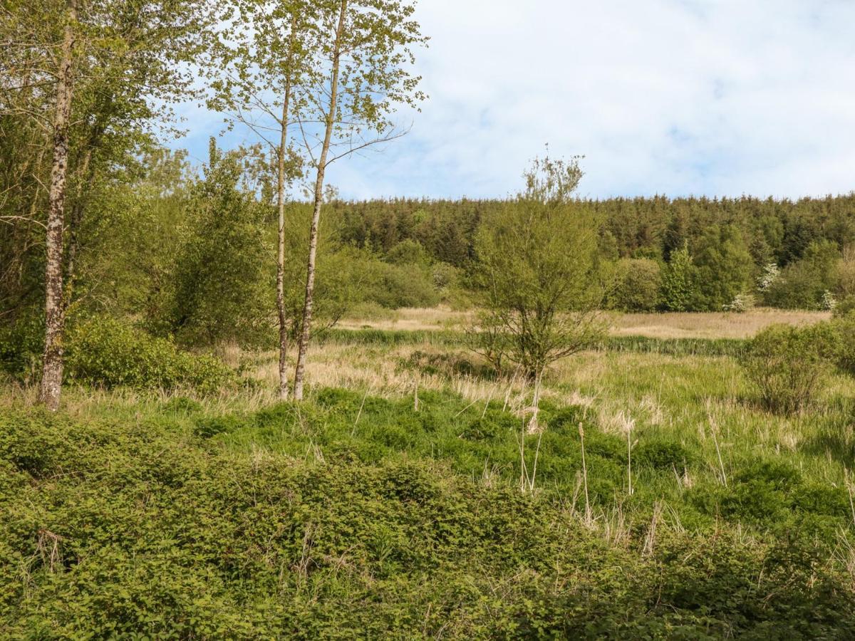 Вилла Bwlch Y Gwynt Bach Ллангефни Экстерьер фото